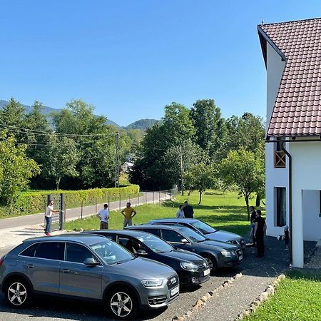 Pensiunea Rnb Maramures Surdesti  エクステリア 写真