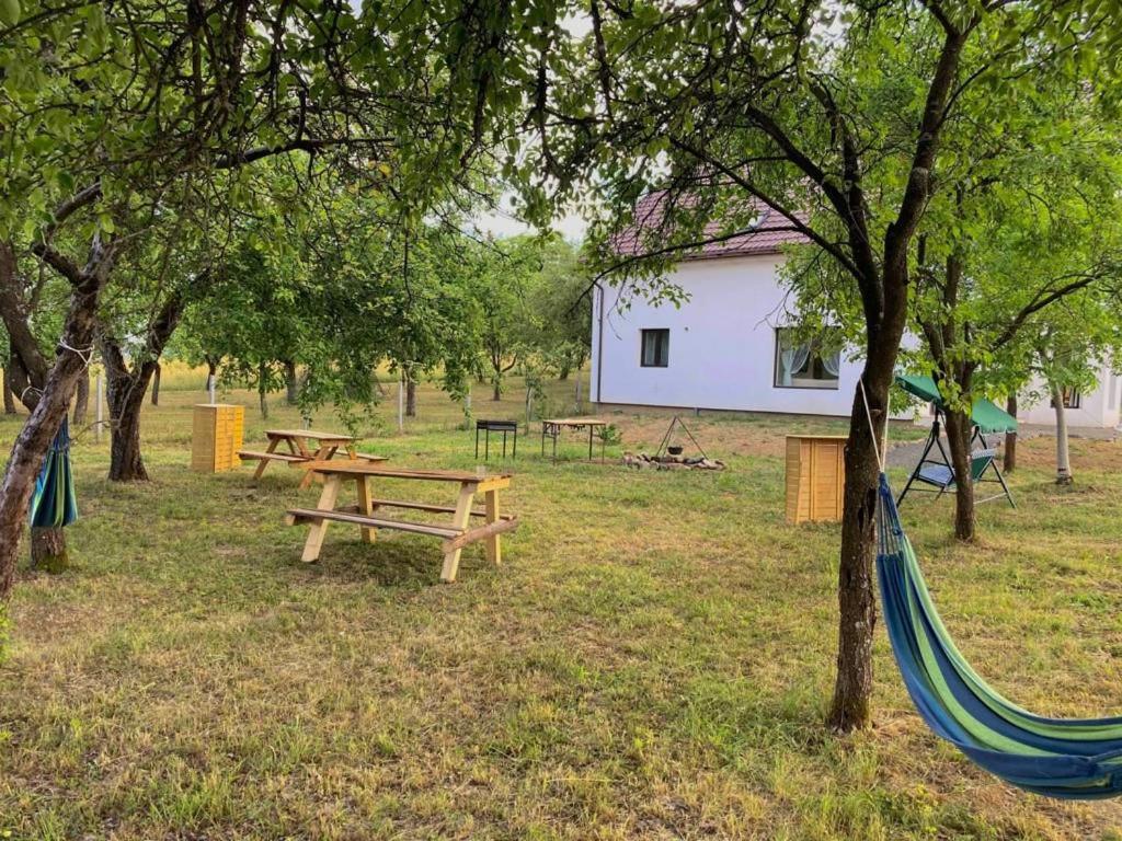 Pensiunea Rnb Maramures Surdesti  エクステリア 写真