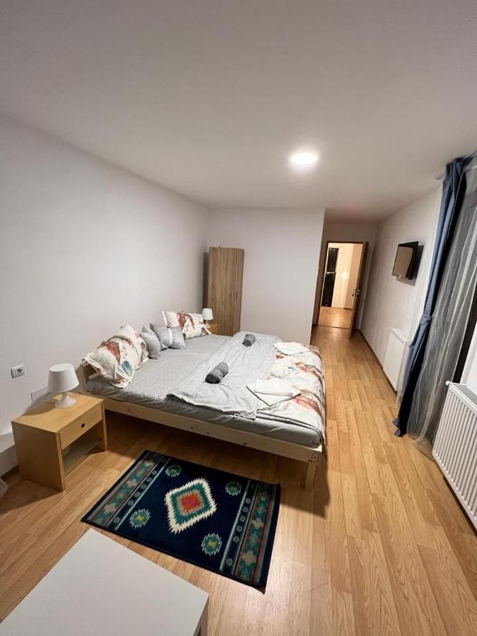 Pensiunea Rnb Maramures Surdesti  エクステリア 写真