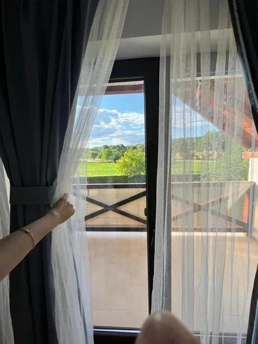 Pensiunea Rnb Maramures Surdesti  エクステリア 写真