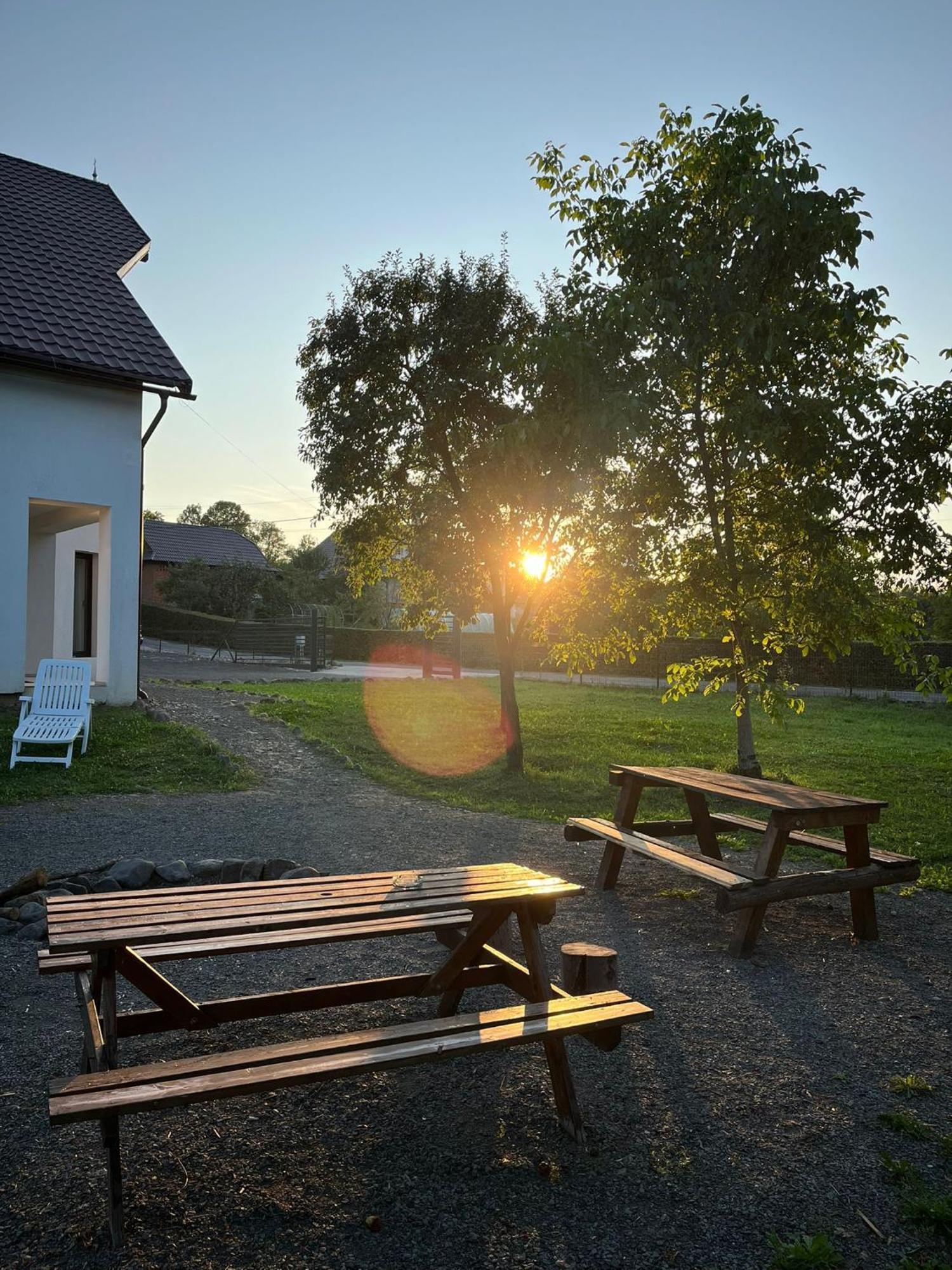 Pensiunea Rnb Maramures Surdesti  エクステリア 写真